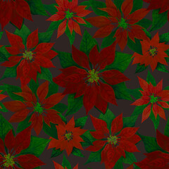 Hand drawn, watercolor red poinsettia, brown background. Seamless floral pattern-995.