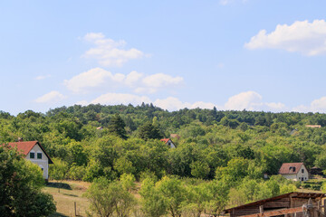 Balaton region. Hungary. Classic landscape of the Balaton-Felvidek wine region Balaton Highlands .