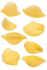 Naklejka premium Wheat uncooked pasta conchiglie on white isolated background