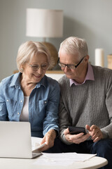 Financial planning for seniors. Confident elderly husband wife sitting on couch check online bank accounts on laptop calculate credit loan mortgage payments manage utility bills organize home budget
