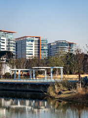 Obraz premium Tranquil Urban Park: A Serene Reflection of Modern Architecture