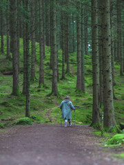 Obraz premium Elderly woman hiking on forest trail through green moss covered pine woodland.