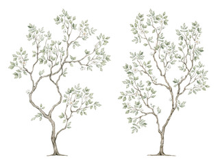 Obraz premium Watercolor tree with green leaves in chinoiserie style. Spring greenery illustration