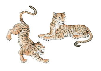 Watercolor bengal tiger in quirky whimsical traditional style © Kate K.