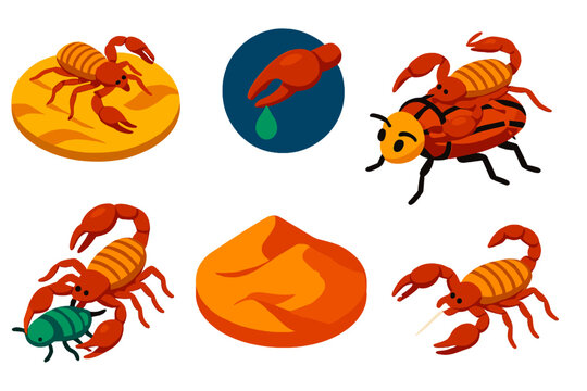 Pseudoscorpions Vector Icons. Isometric vector illustration set Pseudoscorpions: desert pseudoscorpions, venom glands, phoretic