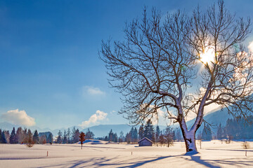 Winterlandschaft - Allg&auml;u - malerisch - Schnee - Ofterschwang - Oberstdorf 