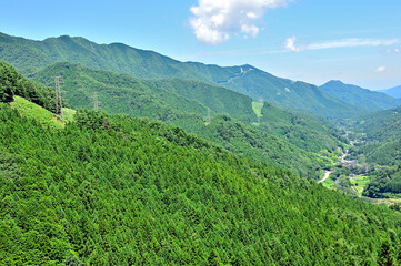 道志山塊の菜畑山　菜畑山・和出村コースより道志山稜縦走コースを望む
