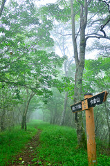 道志山塊の今倉山西峰　霧の御座入山
