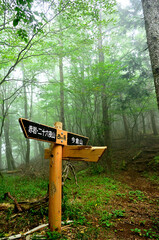 道志山塊の今倉山　霧の西ヶ原の分岐
