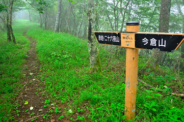 道志山塊の今倉山西峰　霧の御座入山
