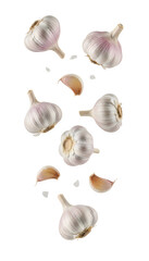 Fresh garlic bulbs and cloves falling, transparent background