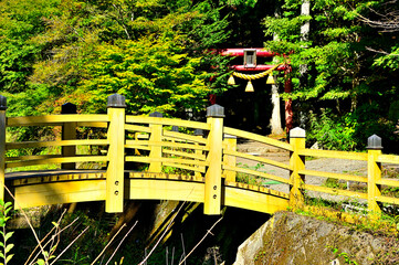 山梨県山中湖村　石割神社参道  © Green Cap 55