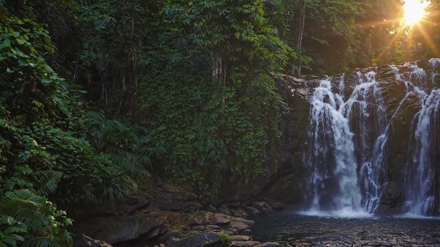 A beautiful waterfall cascades down rocks, surrounded by lush green foliage and tropical plants. This waterfall creates a serene scene in the vibrant forest setting, emphasizing nature's beauty.