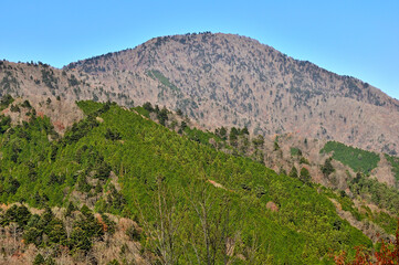 丹沢山地の大棚ノ頭より望む御正体山
