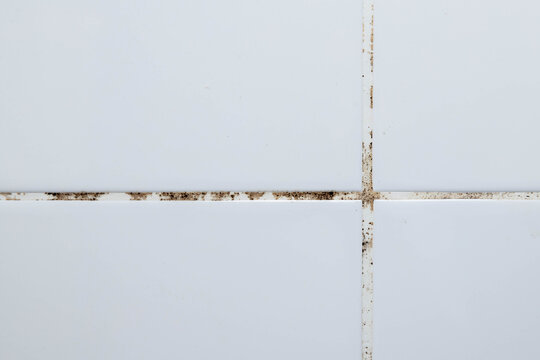 The tiles have mold stains in their grooves