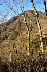 道志山塊のマエダレノ頭より御正体山を望む
