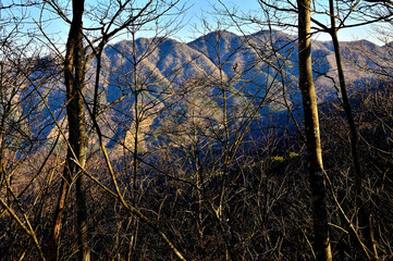 道志山塊のマエダレノ頭より今倉山を望む
