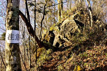 道志山塊のカヤノ沢山　御正体山北東尾根　岩を乗り越える山道
