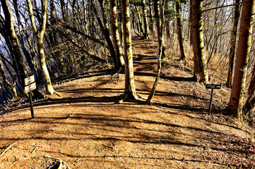 道志山塊の御正体山北東尾根　坂ノ落合（白井平分岐）
