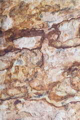 Detailed stone slab with layered structure