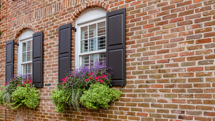 charming old house with flowering plants in pots on the windows