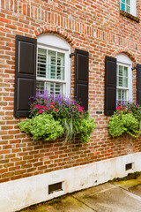 Blooming windows with red and violet flowers in window boxes