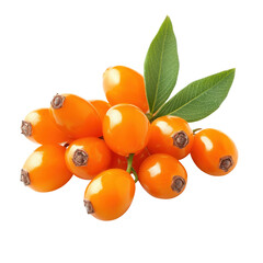 Cluster of ripe sea buckthorn berries with leaves isolated on white

