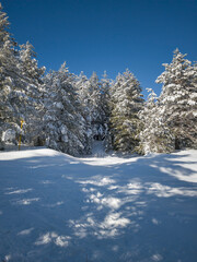 Winter Landscape of Vitosha Mountain, Bulgaria
