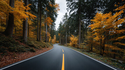 Fototapeta premium Autumn road through forest with golden trees and winding pavement empty two lane asphalt road leading into misty woodland serene moody fall landscape