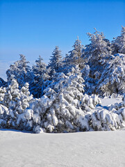 Winter Landscape of Vitosha Mountain, Bulgaria