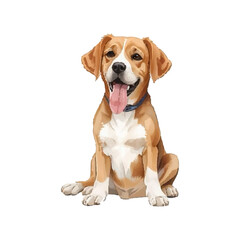 Cute beagle puppy sitting on white background isolated studio portrait