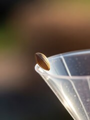 Single Almond on Rim of Glass, Illuminated by Morning Sunshine Rays