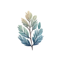 Fototapeta premium Watercolor illustration of a graceful botanical branch with delicate blue-green leaves, perfect for natural designs