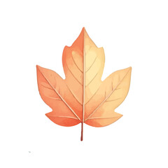 Obraz premium Autumn colorful maple leaf isolated on white background