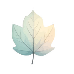 Autumn leaf isolated on white background with colorful fall foliage details