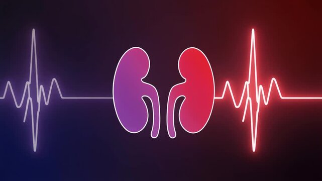 Animated kidney icon beating like a heartbeat with red and purple hues