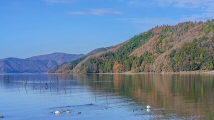 青空バックに見る穏やかな琵琶湖と紅葉のコラボ情景