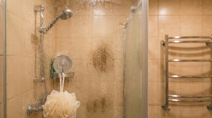 Shower with Water Flowing and Loofah in Modern Bathroom Setting  