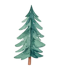Fototapeta premium Beautiful watercolor illustration of a green pine tree, perfect for holiday and nature-themed designs