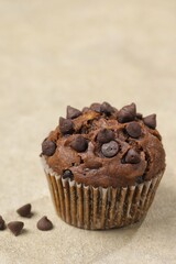 Chocolate Muffins are muffins with the aroma and taste of chocolate