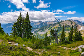 Evergreen trees in the foreground framing distant rugged mountain peaks beneath a partly cloudy blue sky in the North Cascades of Washington. © ZL Visuals