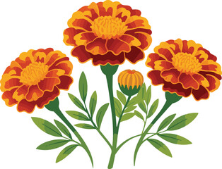 set of flowers
