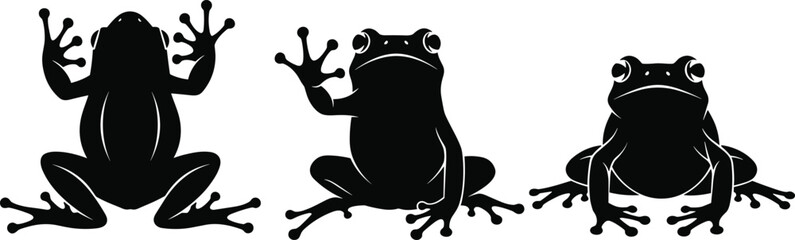 Frog silhouette vector set, cute amphibian wildlife illustration for nature education, rainforest biology, animal cartoon character and kids design