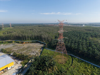 Aerial view of electrical power grid pylon surrounded by palm tree plantation. National power supply.