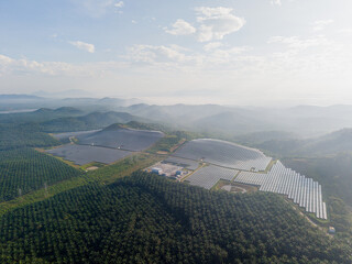 Aerial view of solar panel farm on the hill with morning mist. Green renewable energy resources. Future of sustainable energy generation. Zero pollution concept.