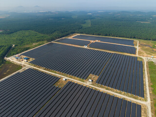 Aerial view of huge solar farm surrounded by palm oil plantation. Green renewable energy resources. Future of sustainable energy generation. Zero pollution concept.