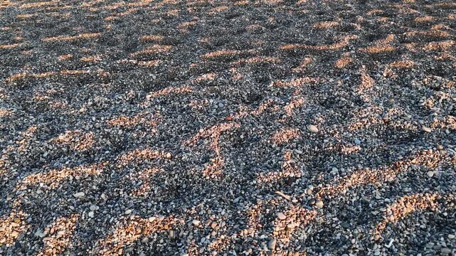 High angle close up of beach pebbles illuminated by the low angle sun creating long shadows and a rich textured ground surface pattern