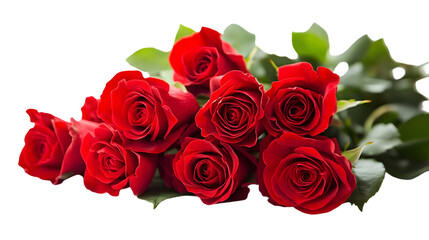 Obraz premium Beautiful bouquet of deep red roses with vibrant green leaves on a stark for romance