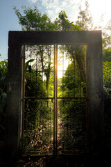 The sun's warm glow silhouettes an old, forgotten gate, hinting at a hidden path leading deep into a vibrant, untouched natural sanctuary