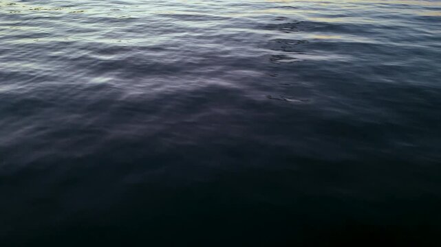 Smooth blue water surface of the sea captured from a high angle showing gentle undulating motion and soft light reflections in a relaxing vertical video clip